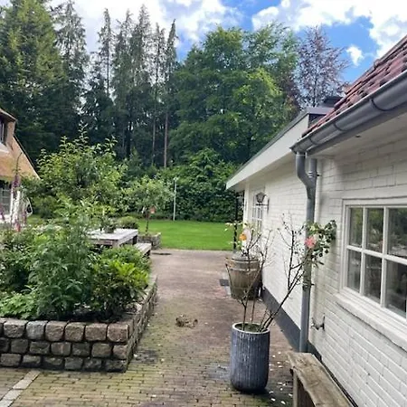 Cosy In Beautiful Walking And Cycling Surroundings * אפ