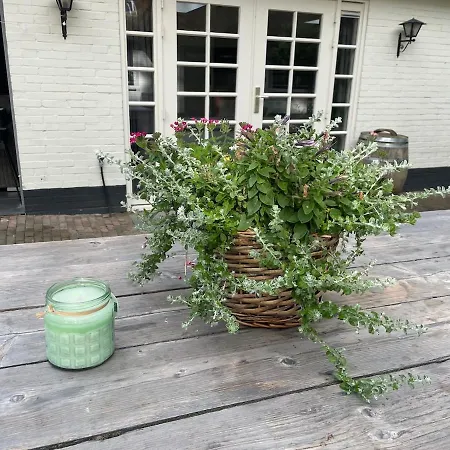 Cosy In Beautiful Walking And Cycling Surroundings *