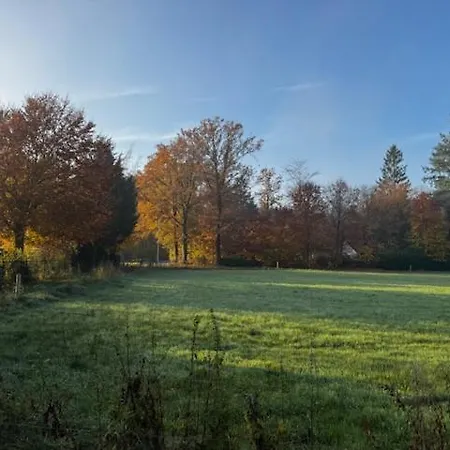 Charming Veluwe With Private Garden In The Heart Of The Veluwe * Epe