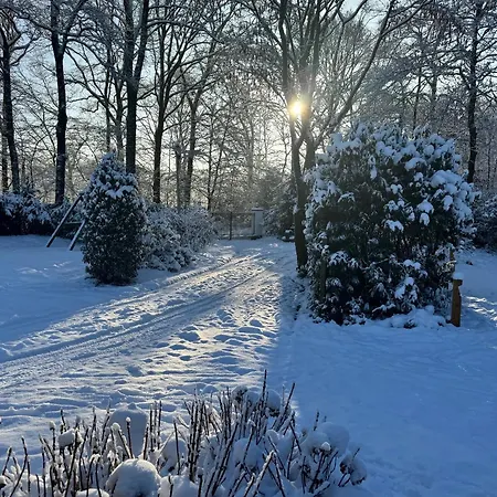 Cosy In Beautiful Walking And Cycling Surroundings Epe