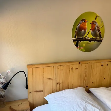 Cosy In Beautiful Walking And Cycling Surroundings *