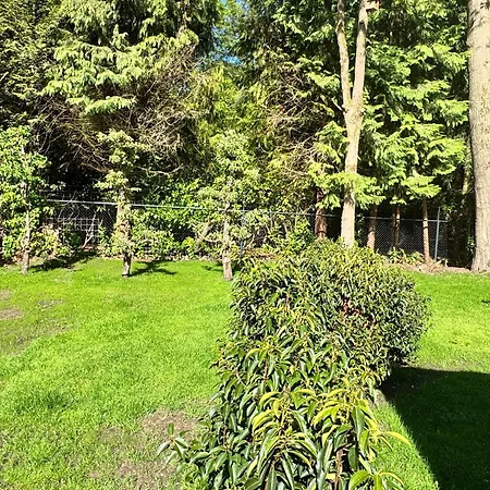Cosy In Beautiful Walking And Cycling Surroundings Hébergement de vacances