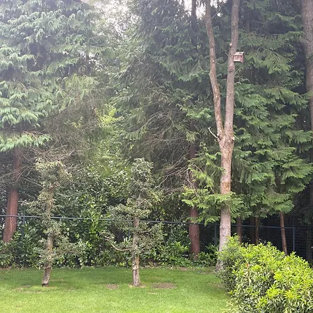 Holiday home Charming Veluwe With Private Garden In The Heart Of The Veluwe *