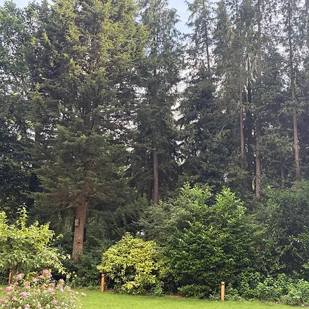 Holiday home Charming Veluwe With Private Garden In The Heart Of The Veluwe *