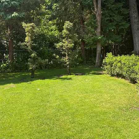 Holiday home Charming Veluwe With Private Garden In The Heart Of The Veluwe *