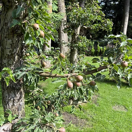 Charming Veluwe With Private Garden In The Heart Of The Veluwe
