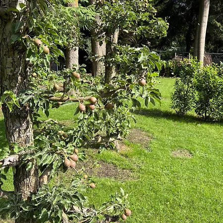Charming Veluwe With Private Garden In The Heart Of The Veluwe * Epe