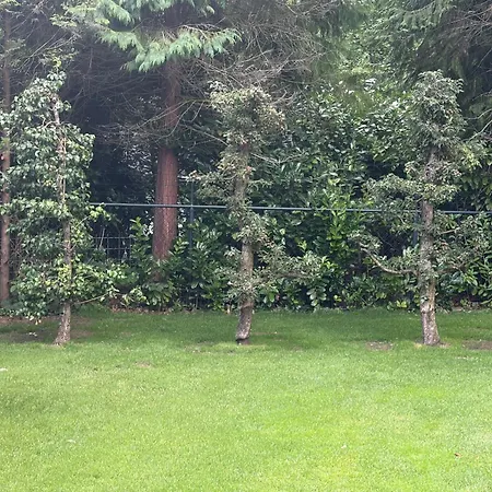 Beautiful And Charming Holiday Home Near Forest & Nature *
