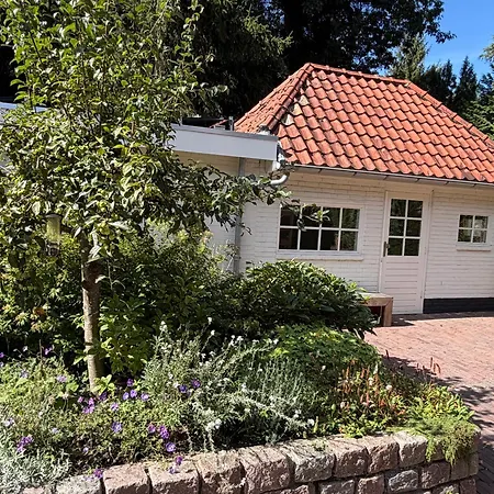 Beautiful And Charming Near Forest & Nature Ferienhaus Epe