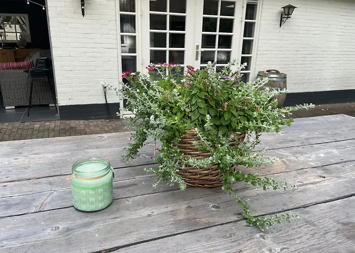 Cosy In Beautiful Walking And Cycling Surroundings *