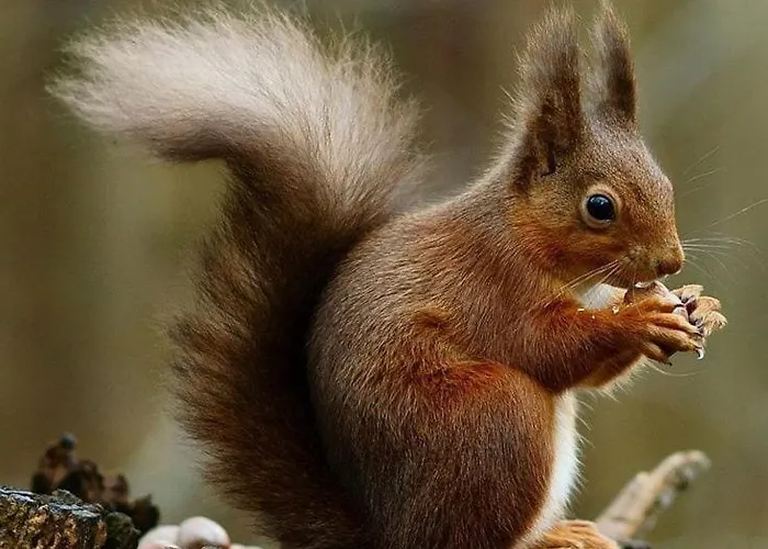 Semesterbostad Cosy In Beautiful Walking And Cycling Surroundings