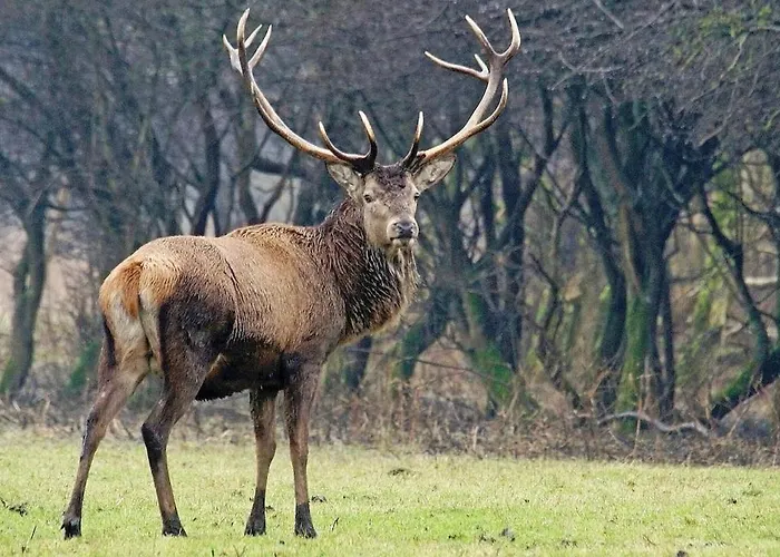 Cosy In Beautiful Walking And Cycling Surroundings *