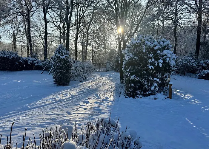 Cosy In Beautiful Walking And Cycling Surroundings Epe