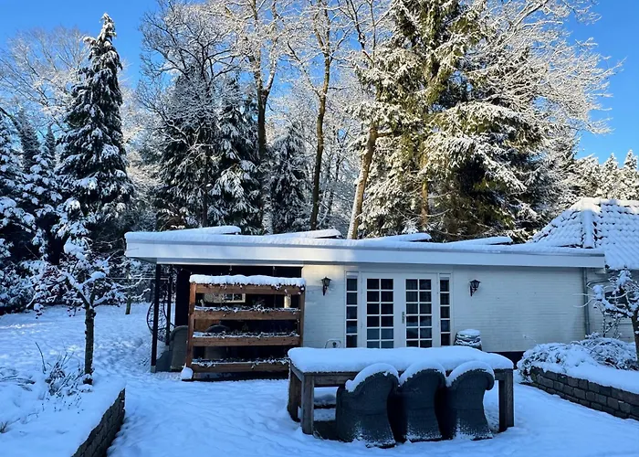 Cosy In Beautiful Walking And Cycling Surroundings * Epe