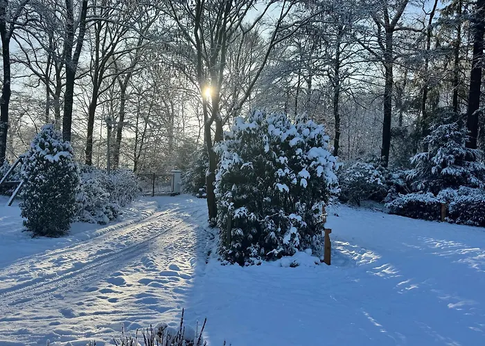 Cosy In Beautiful Walking And Cycling Surroundings Semesterbostad