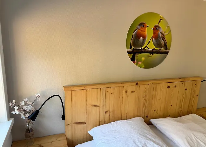 Cosy In Beautiful Walking And Cycling Surroundings *