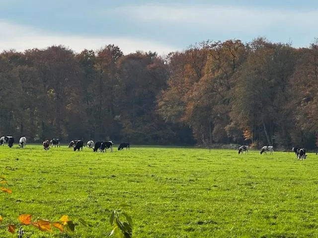 Cosy In Beautiful Walking And Cycling Surroundings *