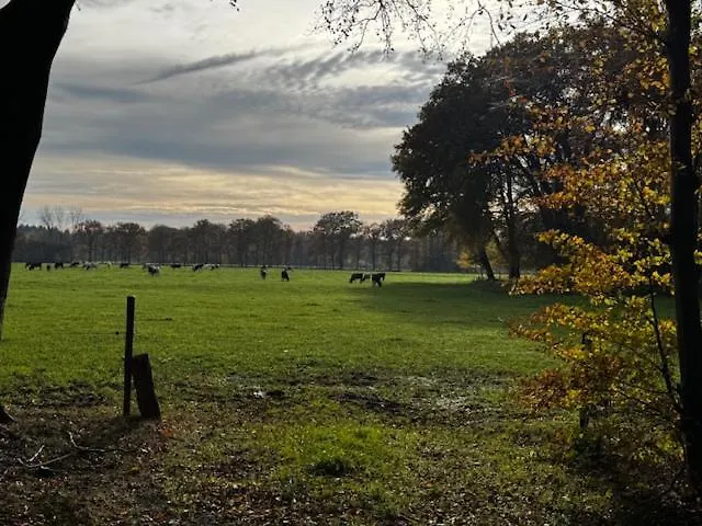 Cosy In Beautiful Walking And Cycling Surroundings * Epe